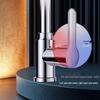 TLXT Stainless Steel Wall-Mounted Kitchen & Basin Faucet