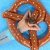 Thickened 140cm Inflatable Swim Ring Float For Adults In Coffee Color