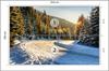 Photomural Winter Forest Structural Vinyl 254x184