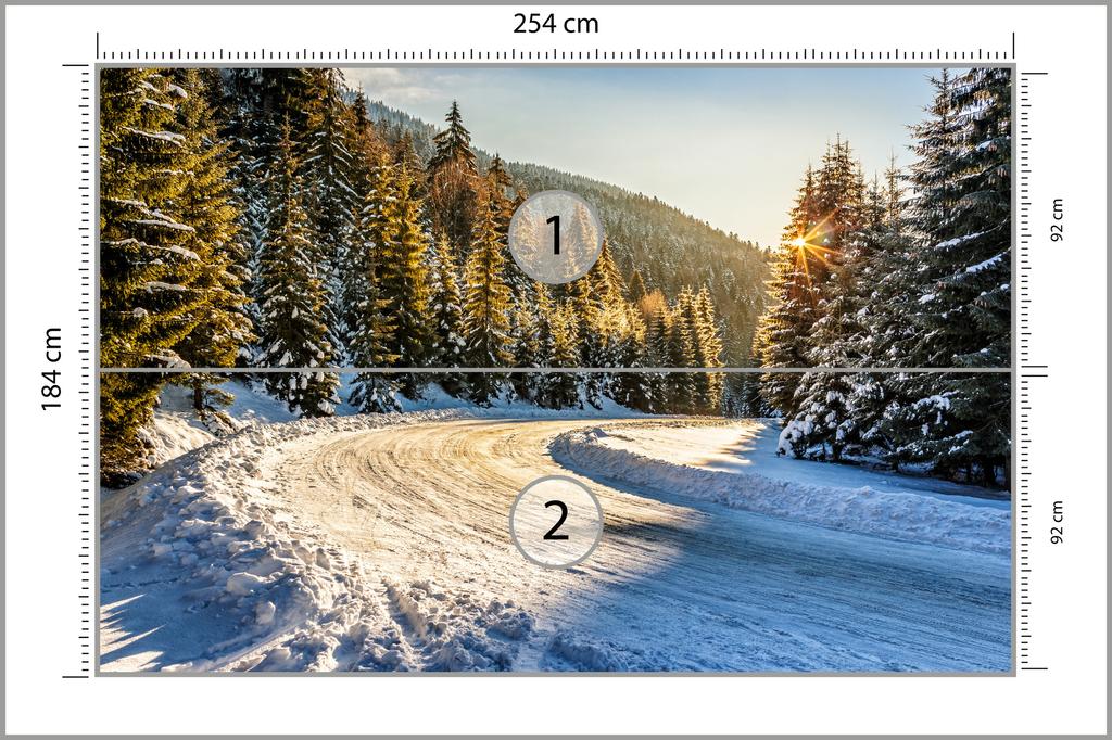 Photomural Winter Forest Structural Vinyl 254x184