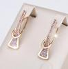 Irregular Circular  Diamond Super Sparkling High Heels with Buckle Design, Personalized High-end Feeling, Light Luxury Earrings