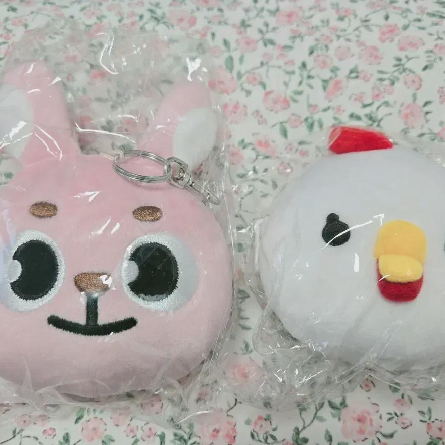 

Day6 19 Pouch Wonpil