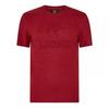 Mens Monument 2025 British & Irish Lions T-Shirt