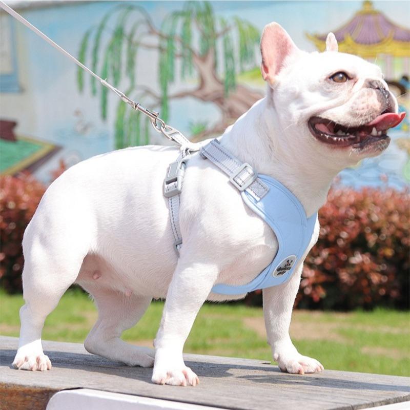 Dog Harness Leash Set Adjustable No-Pull Pet Harness for Small Medium Dogs Comfortable Reflective Breathable Chest Back for Pets