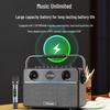 W-King T16S Portable Bluetooth KTV Speaker with Subwoofer CN Plug (adapter Included)