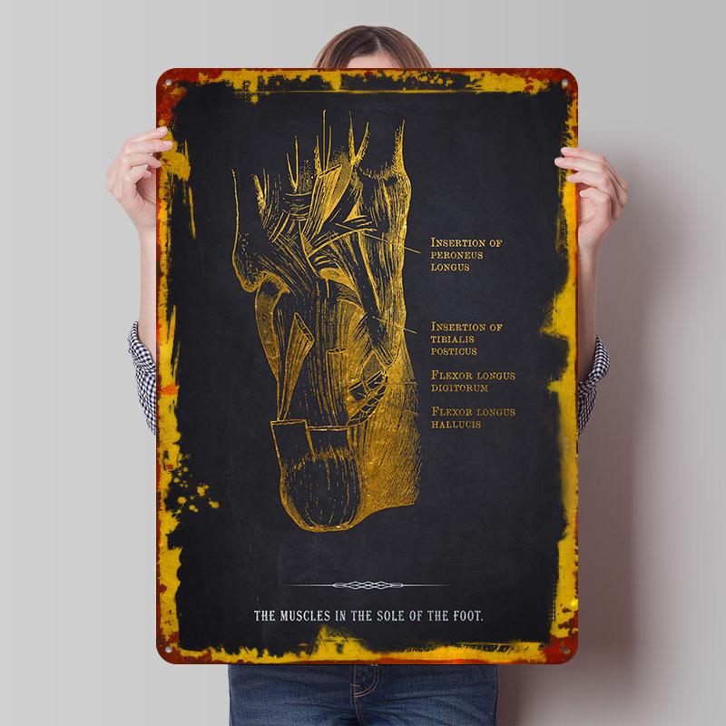 

Foot Muscles Anatomy Tin Plaque Poster Customized Wall Art Retro Vintage Metal Signs for Man Cave Decoration Bedroom Decorations 7.9x11.8In(20x30cm)