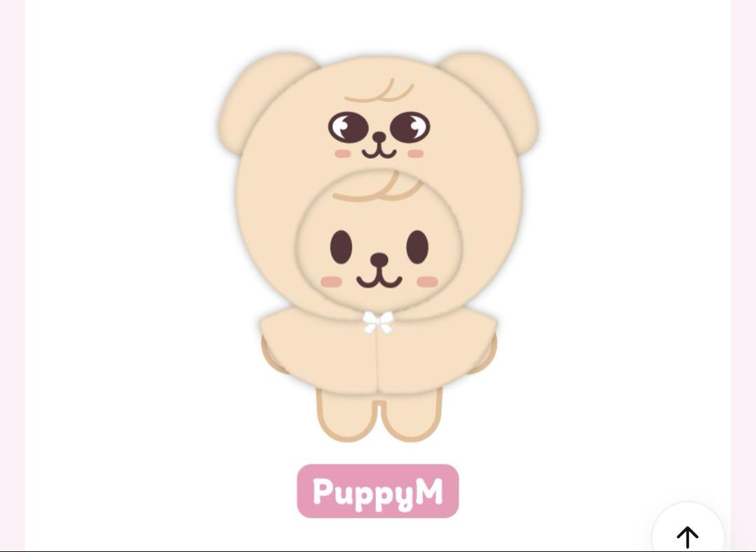 

[USED] straykids skzoo 10cmplush outfit papim