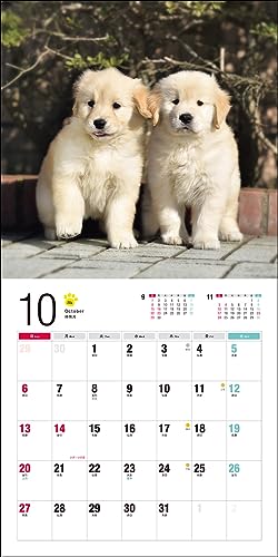 2024 Calendar Golden Retriever (Seibundo Shinkosha Calendar)