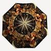 1PC Floral CompassAutomatic Open/Close Umbrella with Windproof, 8-Rib Sturdy Canopy, Durable Ribs, Fashionable Design, Outdoor Accessory, Fun Prin, Ho