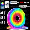 DC5V USB Bluetooth Neon Strip Light 1/2/3/5/10m IP65 Waterproof Music Sync RGBIC Flexible Tape for Indoor Outdoor Decor