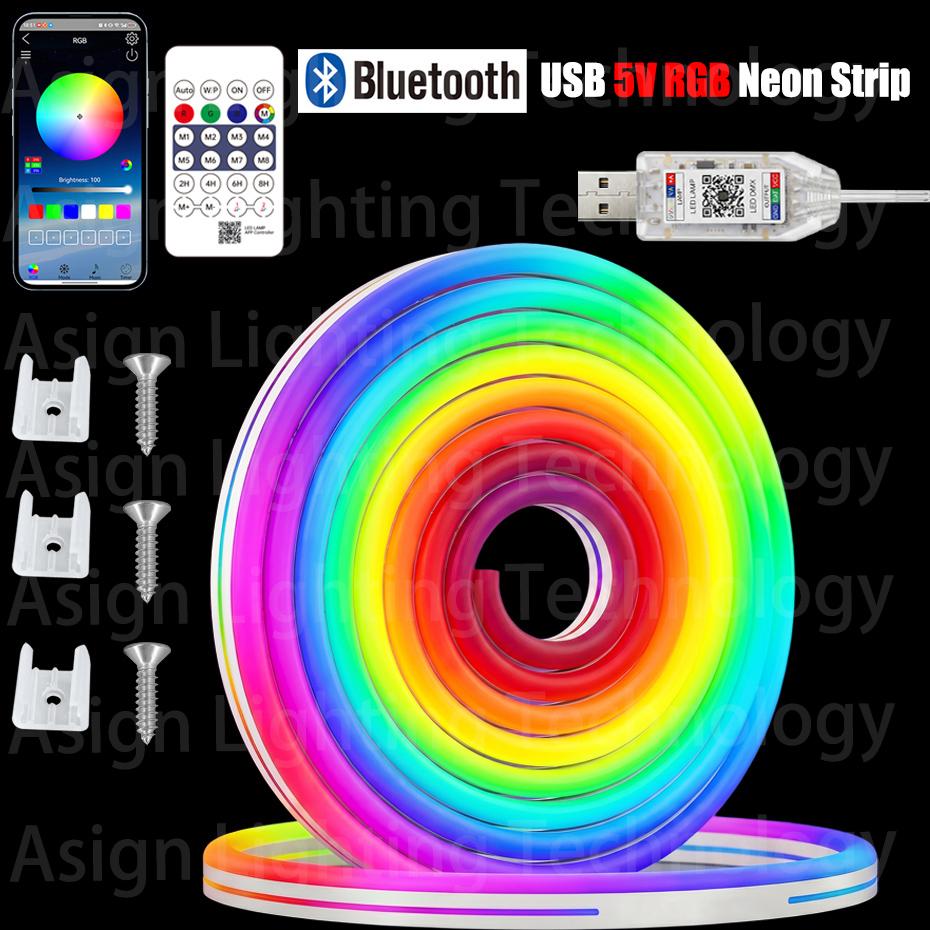 DC5V USB Bluetooth Neon Strip Light 1/2/3/5/10m IP65 Waterproof Music Sync RGBIC Flexible Tape for Indoor Outdoor Decor