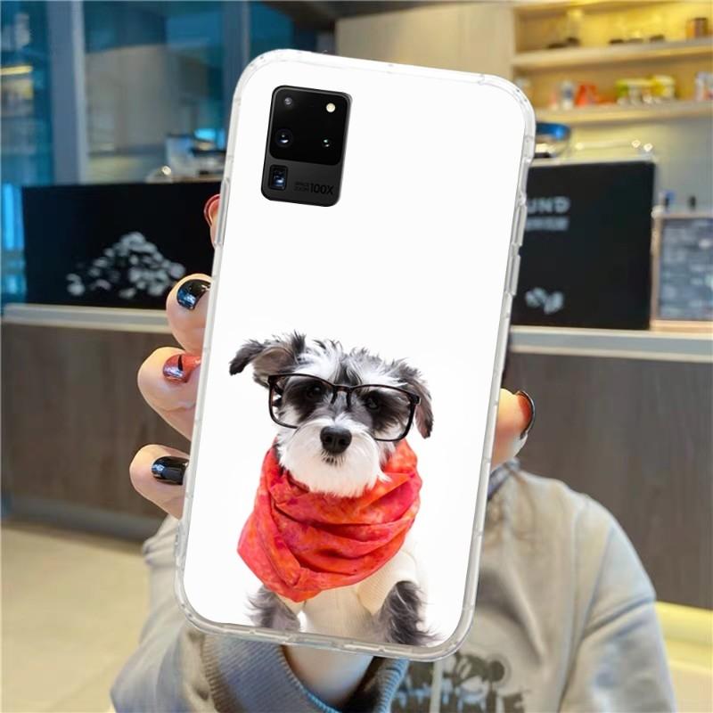 Roztomilý pes knírač nosí brýle pouzdro na telefon pro Samsung Galaxy S10 S21 S22 Plus Ultra A91 A51 A21S A12 Průhledný kryt na telefon