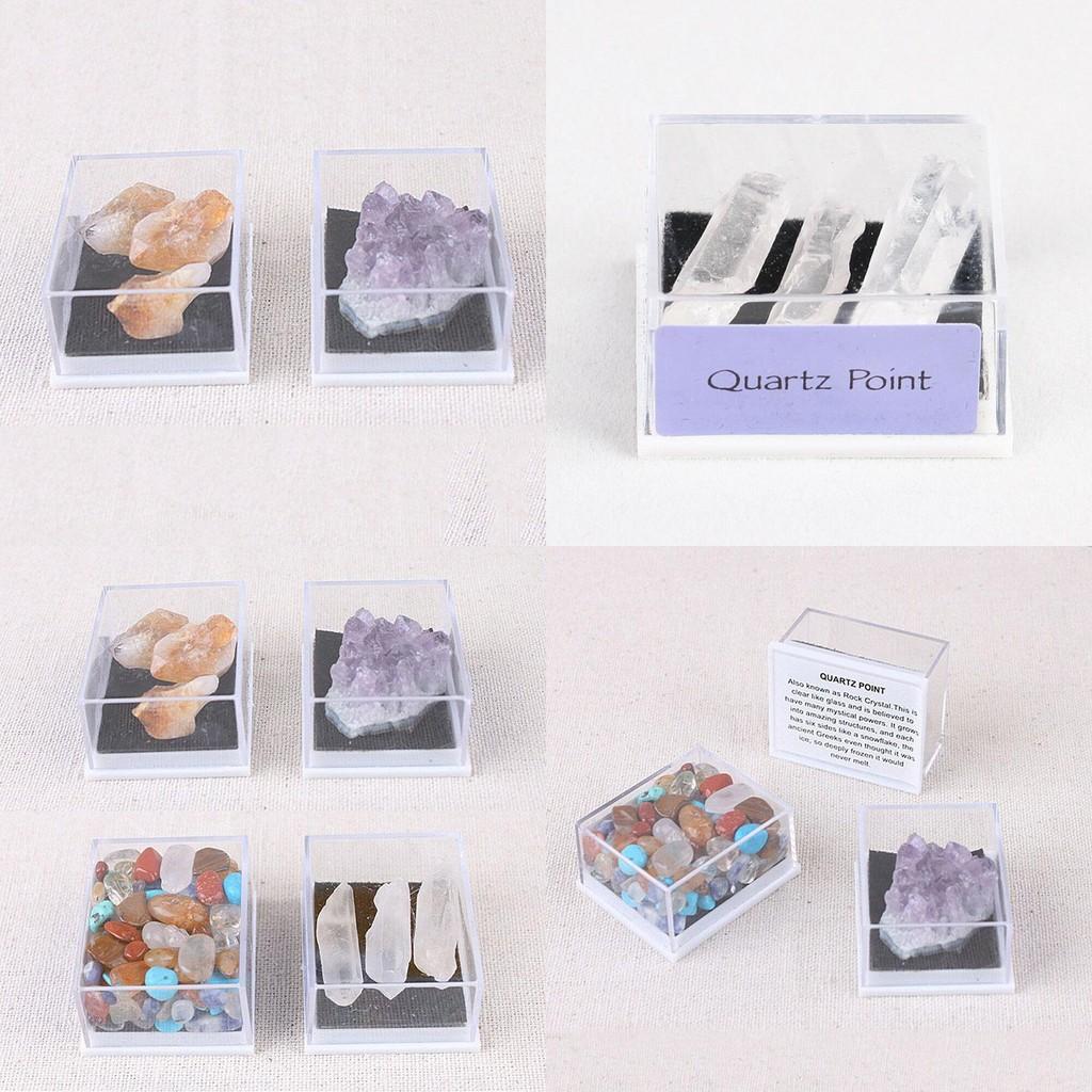 Beautiful Mixed Natural Rough Stones And Rose Quartz Crystal Mineral Rocks Collection