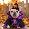 and Dog Halloween Cape and Hat Costume Set for Pet Holiday Party and Photo Props