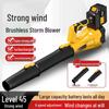 Brushless Lithium Battery Snow & Leaf Blower with Charger - Portable Turbine Fan