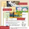 Primary School Five Senses Writing Skills: Universal Picture-Based Sentence Expansion for All Grades with Daily Morning Reading Training.