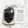 Raven Pocket Hug with Positive Card Emotional Support Crow Pocket Token Bird Decoration Inspirational Encouragement Gift