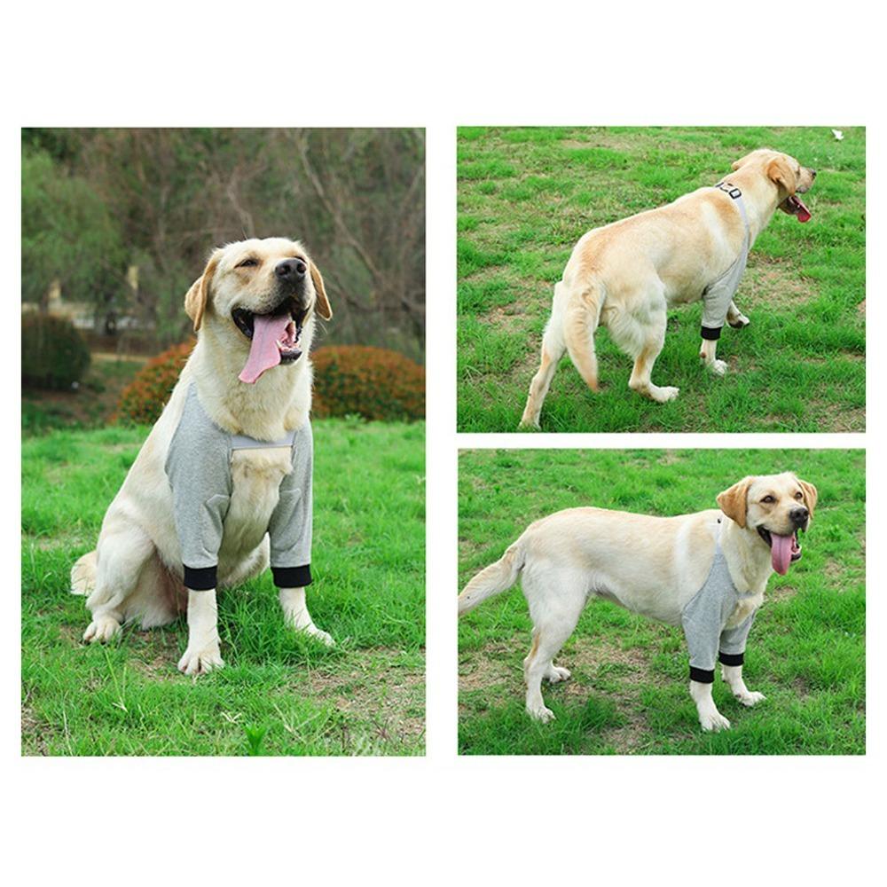 Warm Dog Leg Brace Adjustable Dog Joint Wrap Anti-slip Dog Knee Support  Injured Dogs