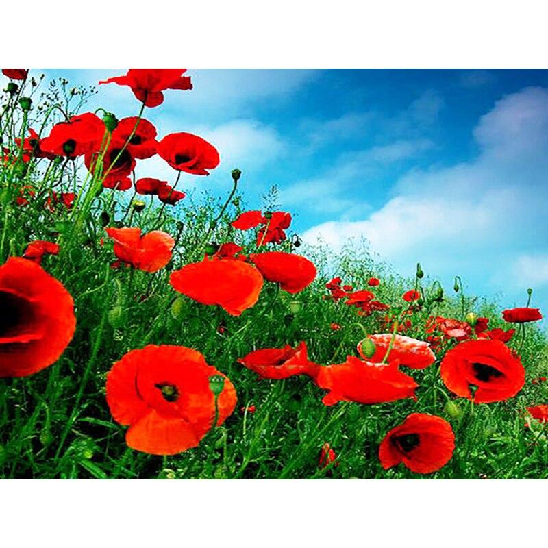 

5D алмазная живопись Мак, вышивка крестиком, Алмазная вышивка, полная круглая дрель, дисплей, Алмазная мозаика, пейзаж, настенное искусство, подарок Full Round 20x30CM