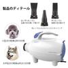 High Speed Professional Grooming Hair Dryer Blower for Cats and Dogs (PBD-701H)