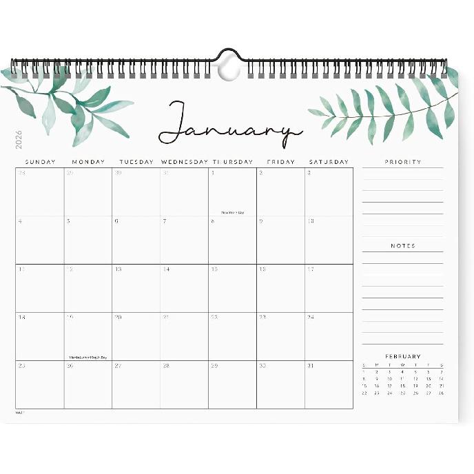 Jotsome Wall Calendar 2026, Monthly Calendar From Now to December 2026 14.2"x11.2", Aesthetic Wall Decoration in Home and Office for Easy Organizing