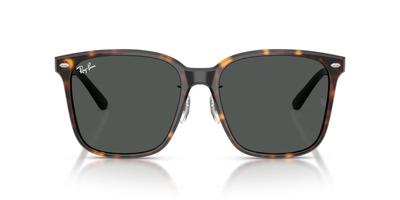 Ochelari de soare 0RB2206D HAVANA GRI ÎNCHIS Potrivire asiatică Polarizați [Ray-Ban] 710/8757