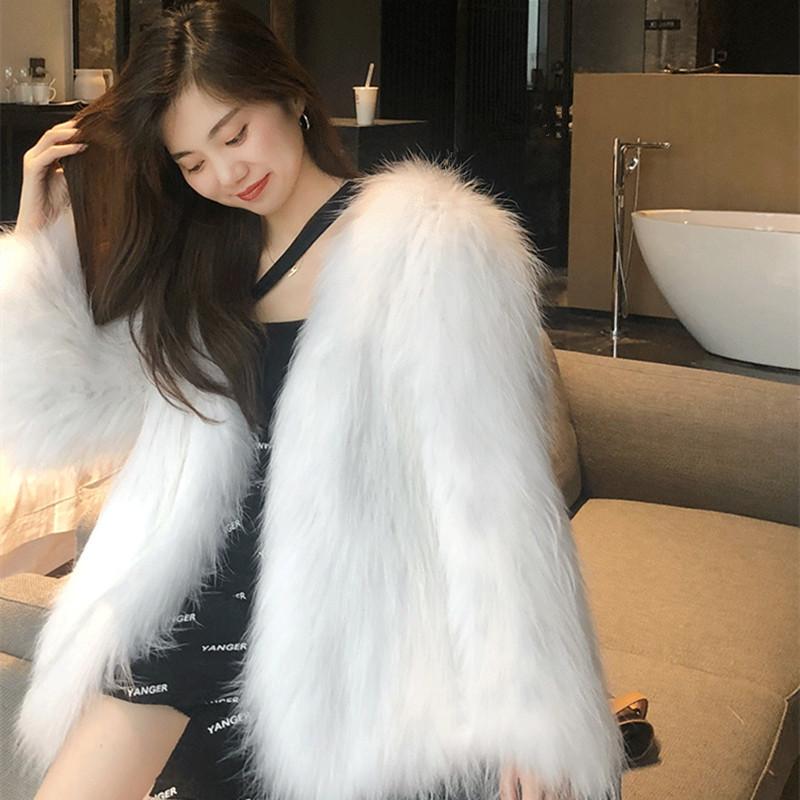 Autumn and winter new imitation raccoon fur fox fur coat women's medium and long Haining wool coat fashionable young