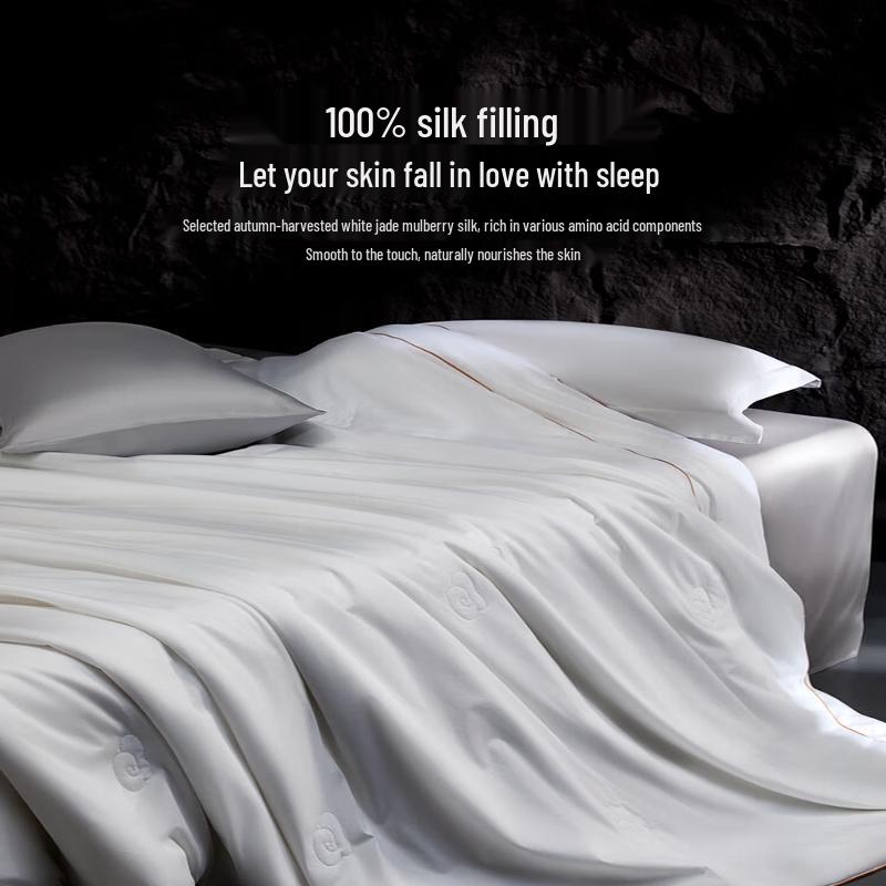 Mercury Home Textiles 100% Mulberry Silk 2-in-1 Comforter