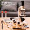Children's 1200X HD Microscope Set for Science Experiments - Ideal Gift for Primary & Secondary Students