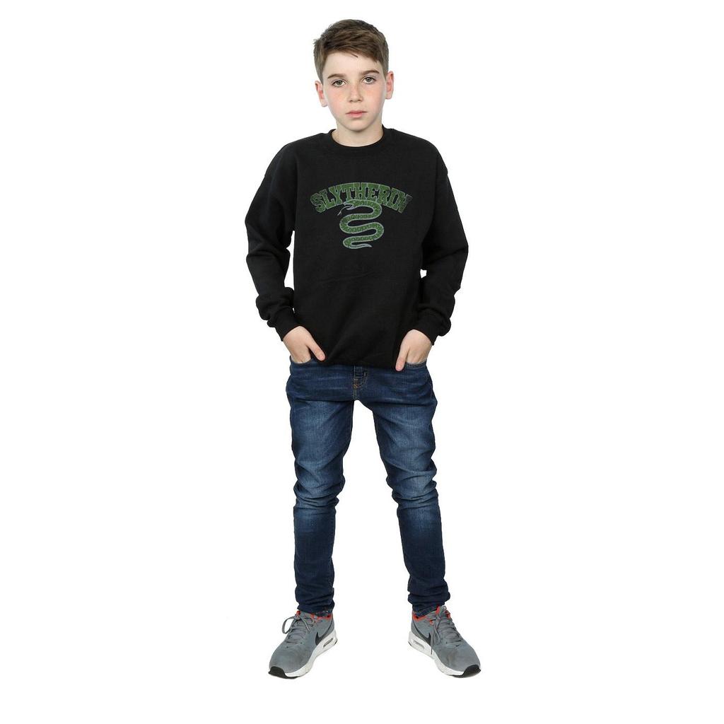 HARRY POTTER Boys Slytherin Sport Emblem Sweatshirt