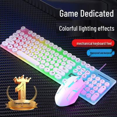 Luminous Punk Keycaps Wired Keyboard & Mouse Set for Gaming