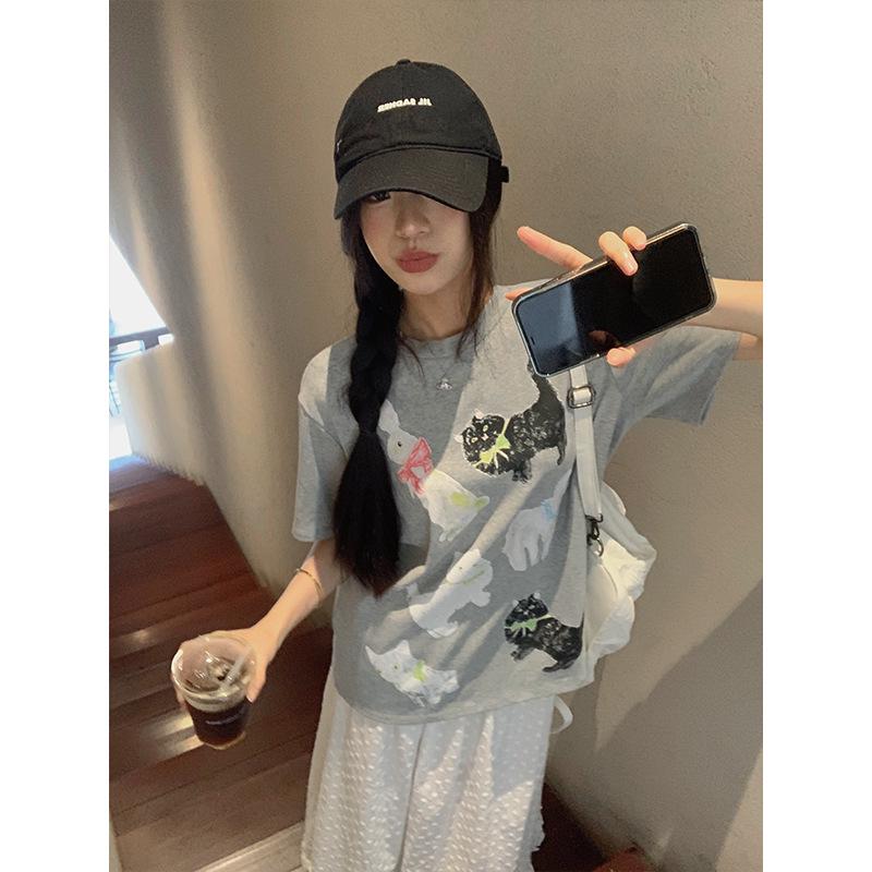 Plus Size Women's Korean Style Two-Piece: Printed Short Sleeve T-shirt & High Waist A-line Skirt