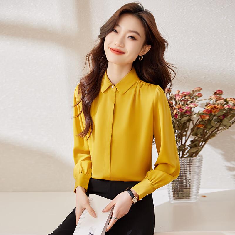 Women's Chiffon Long Sleeve Professional Shirt