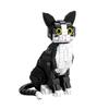 Ungiftige Schwarze Niedliche Katzen Mini Modell Bausteine Ausdrucksstarke Gesichter Optionen Für Kinderspielzeug Haustierfans Stil Steine Partygeschenke