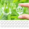 50PCS Heavy-Duty Plant Support Clips for Garden Vines | Adjustable Trellis Tomato Clips for Cucumbers Grapes & Melons