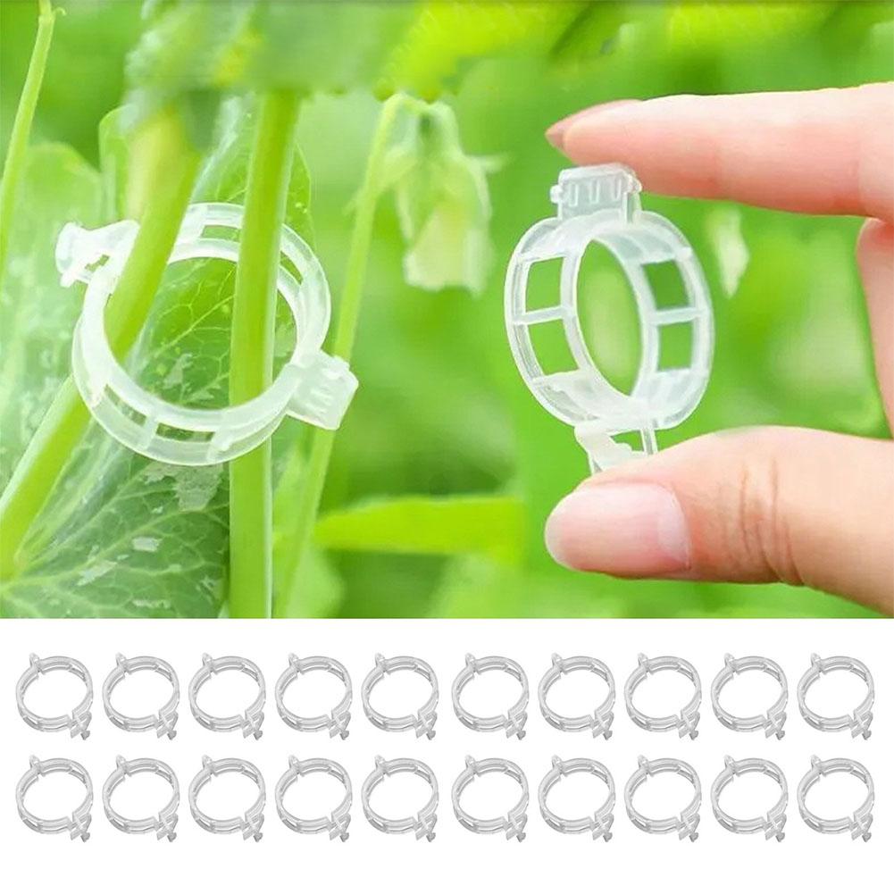 50PCS Heavy-Duty Plant Support Clips for Garden Vines | Adjustable Trellis Tomato Clips for Cucumbers Grapes & Melons