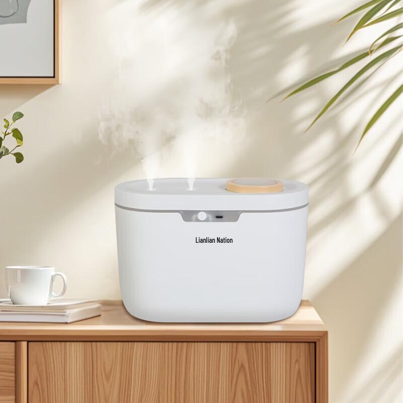 Lianchuang Dual-Spray USB Ultrasonic Humidifier
