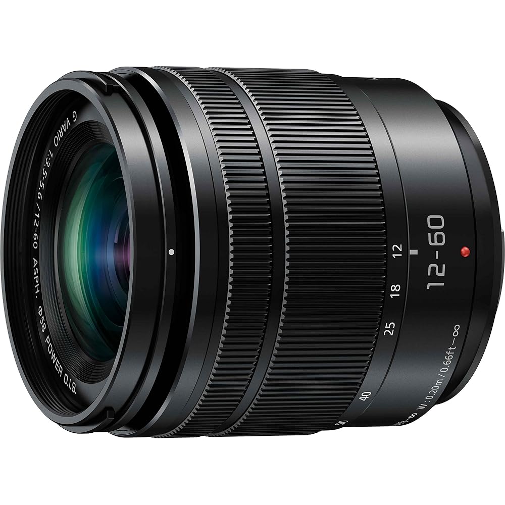 Panasonic LUMIX G VARIO 12-60mm/F3.5-5.6 ASPH./POWER O.I.S H-FS12060 Standard Zoom Lens for Micro Four Thirds