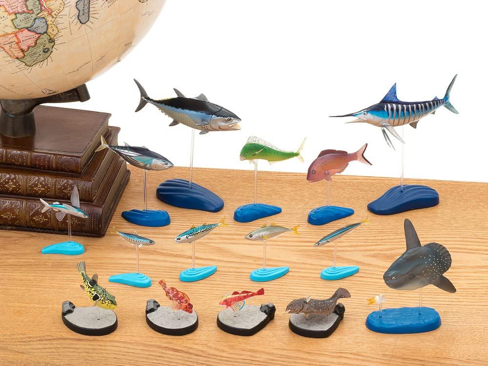 Calorata Saltwater Fish Figure Deluxe Set (15 Species  Boxed  Instruction Manual  Food Sanitation Law Compliant) 3D Illustrated Guide, Realistic Fish