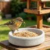 Round Parrot Feeding Bowl Parrot Stone Basin Food Feeder Water Grinder Beak Mosquito Incense Shape Bird Basin Parrot Bird Supply