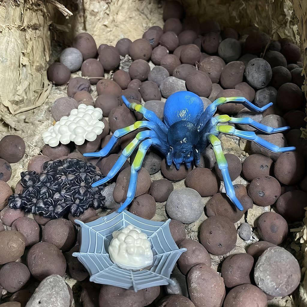 Simulation Animal Model Insect Growth Cycle Model Set, Suitable For Home Decoration, Desktop Ornaments, Children'S Cognition