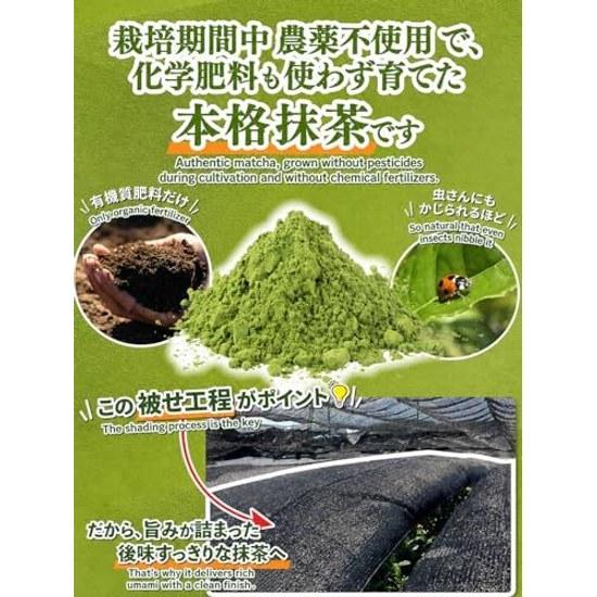 Kyoto-produced Uji Matcha 20g Made Exclusively from High-quality First Flush Tea (during Cultivation Period) Grown Without Chemical Fertilizers