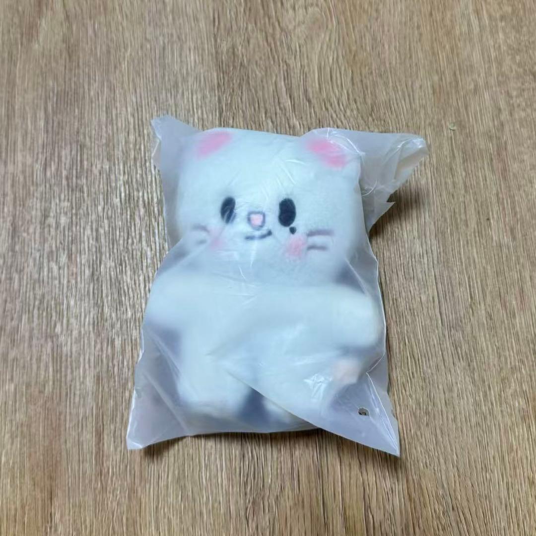 

[USED] straykids celebrate pop-up Ginillet plush toy