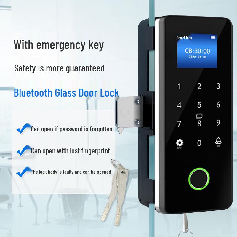 Realand ZD106 Bluetooth Fingerprint Glass Door Lock CN plug (adapter included)
