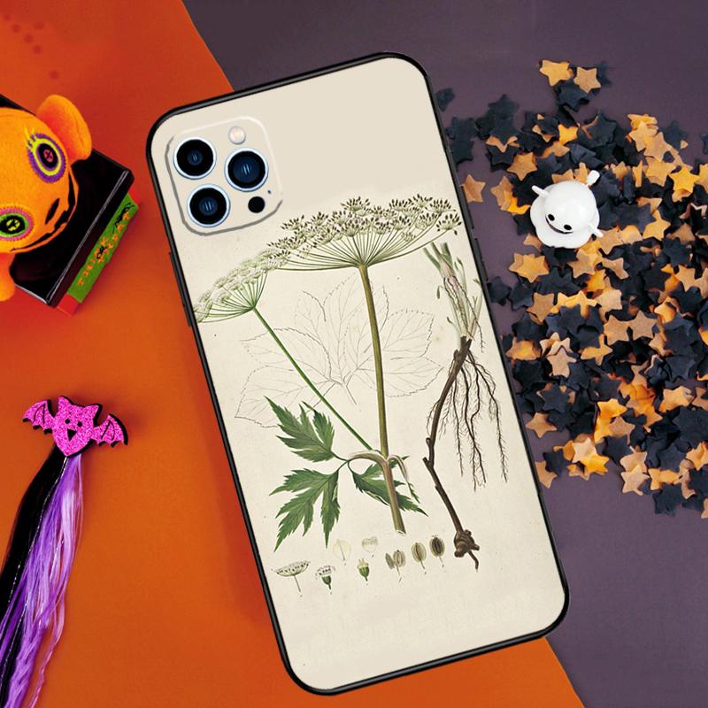 Botanical Drawings Flowers Plants Bumper Case For iPhone 16 14 15 Pro Max 11 12 13 Pro Max Mini XR 16e 16 15 Plus Phone Cover