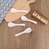 Pabei Disposable Wheat Straw PP Spoons