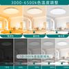 Stylish LED Ceiling Light, 4800LM, for 8-tatami mat rooms, with color and brightness adjustment, daylight and warm white, infrared remote control,