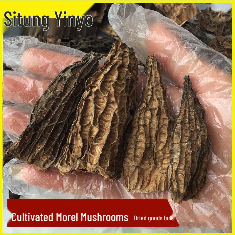 Sitong Junye Dried Morel Mushrooms - Yunnan Plateau Specialty