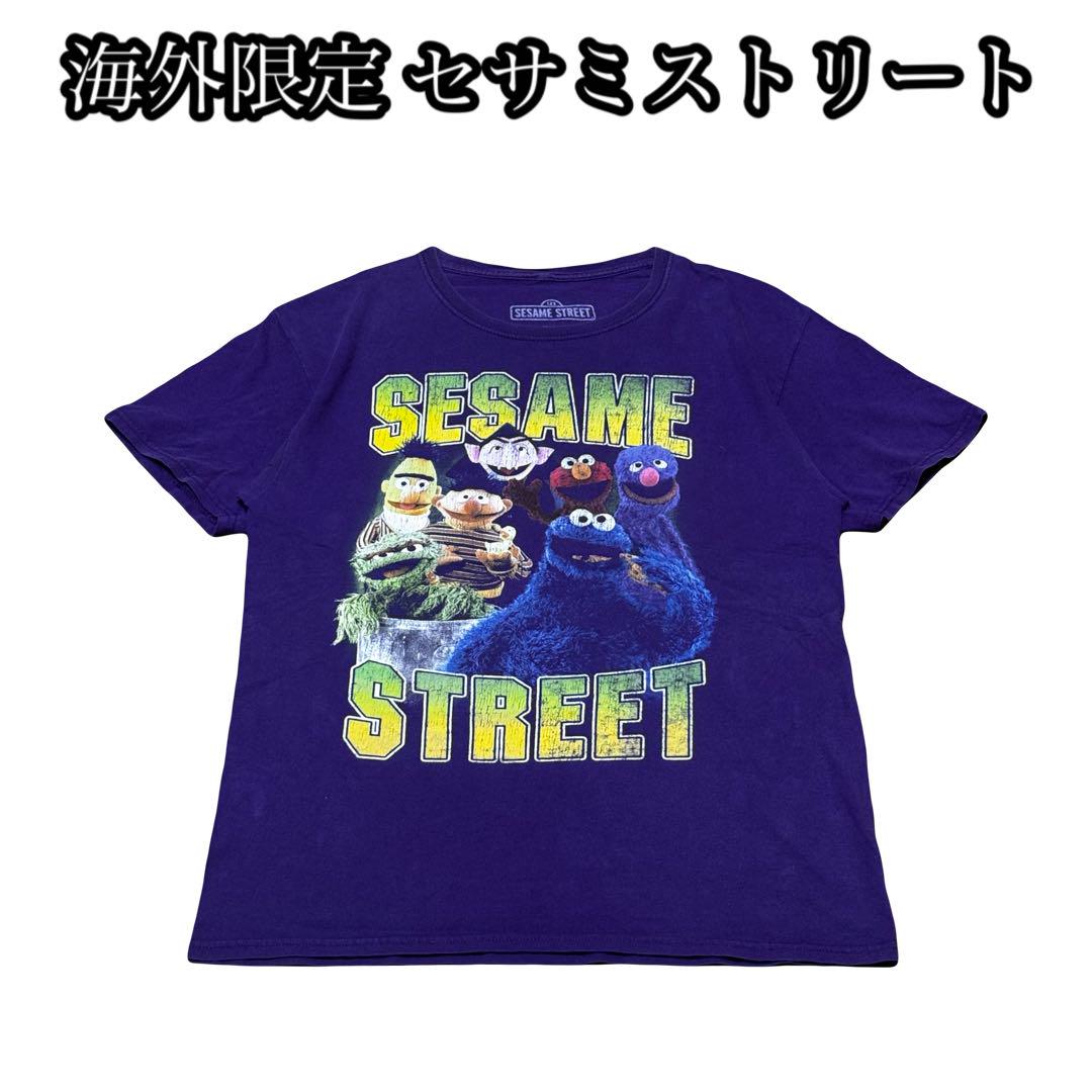 

[USED] 90s old FIRA Italian made art botanical vintage mint condition