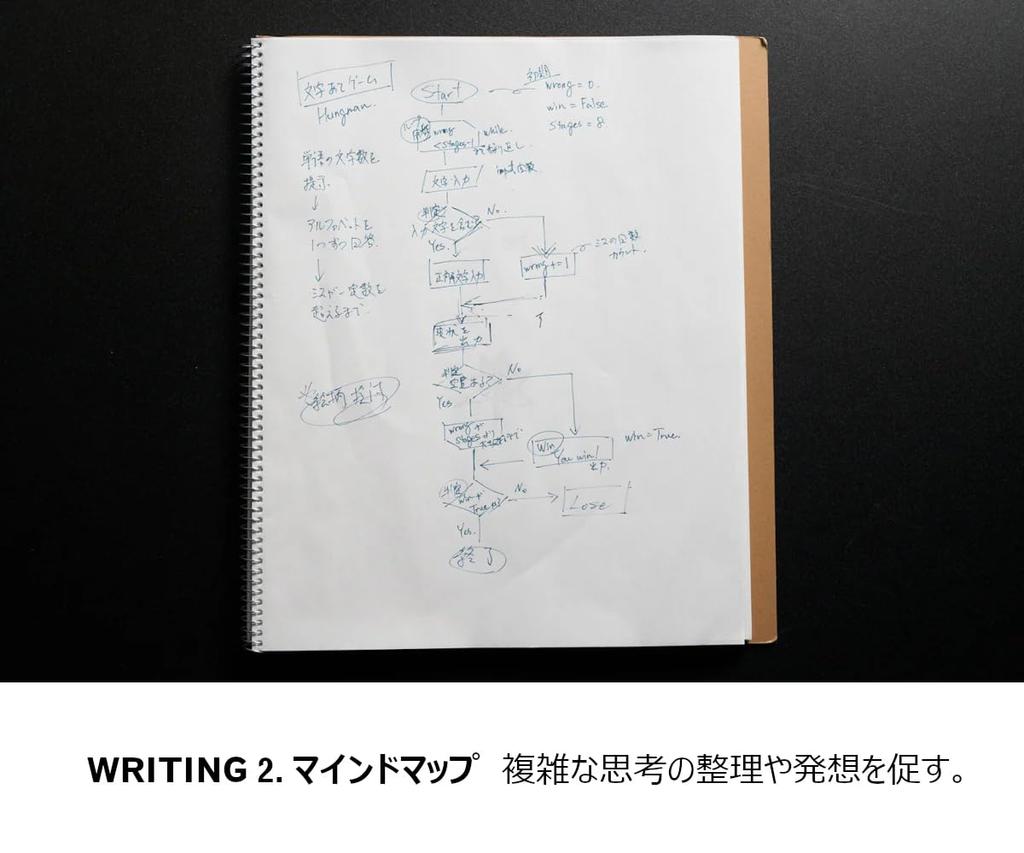 KOKUYO WP Series Pen Writer (Fine WP-F100, Black)